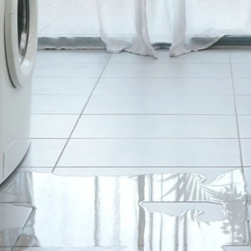 Appliance Leak Cleanup in Newport, DE