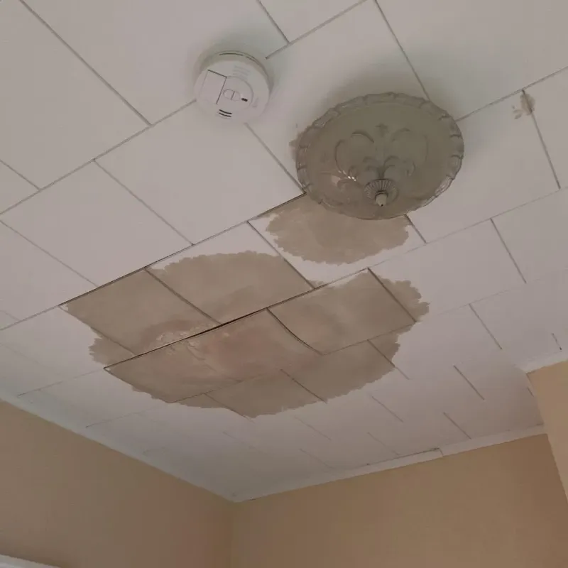Ceiling Water Damage Repair in Newport, DE