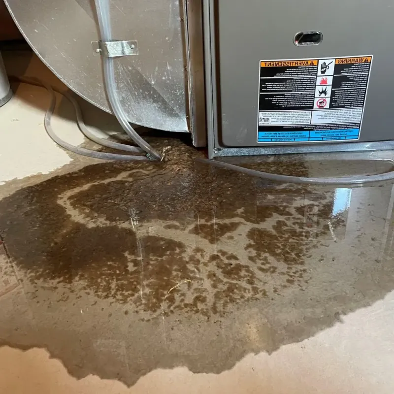 Pipe Burst and Leak Restoration in Newport, DE