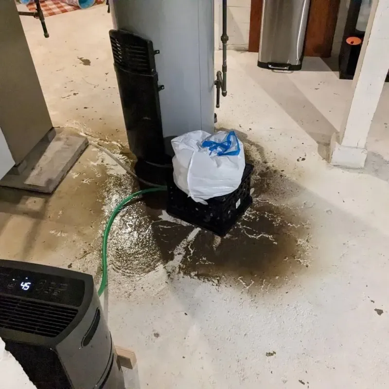 Sewage Backup Cleanup Service in Newport, DE